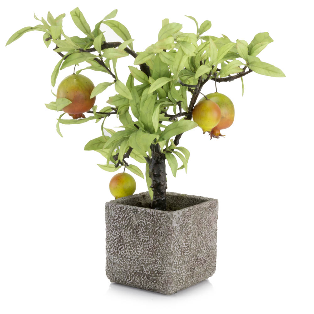 Pomegranate